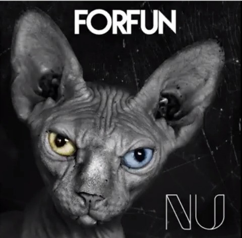 forfun_n