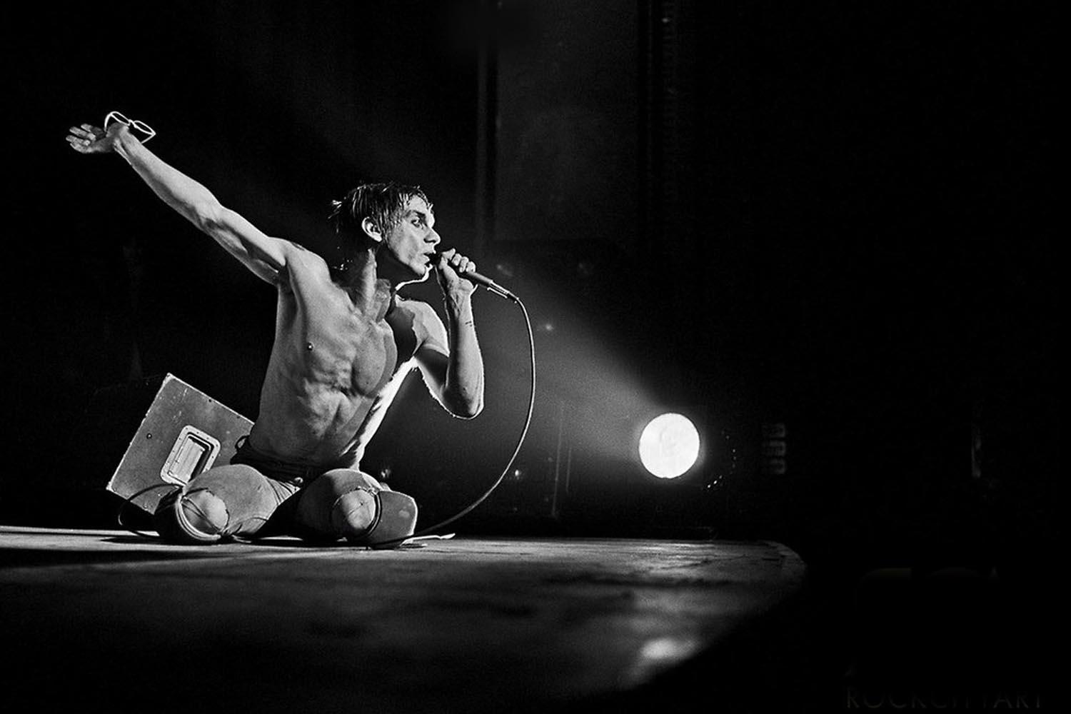 iggypop_02