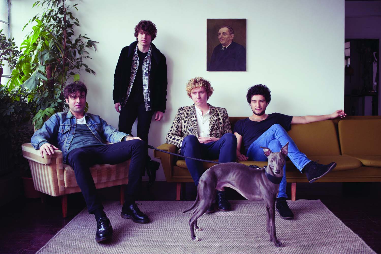 The Kooks