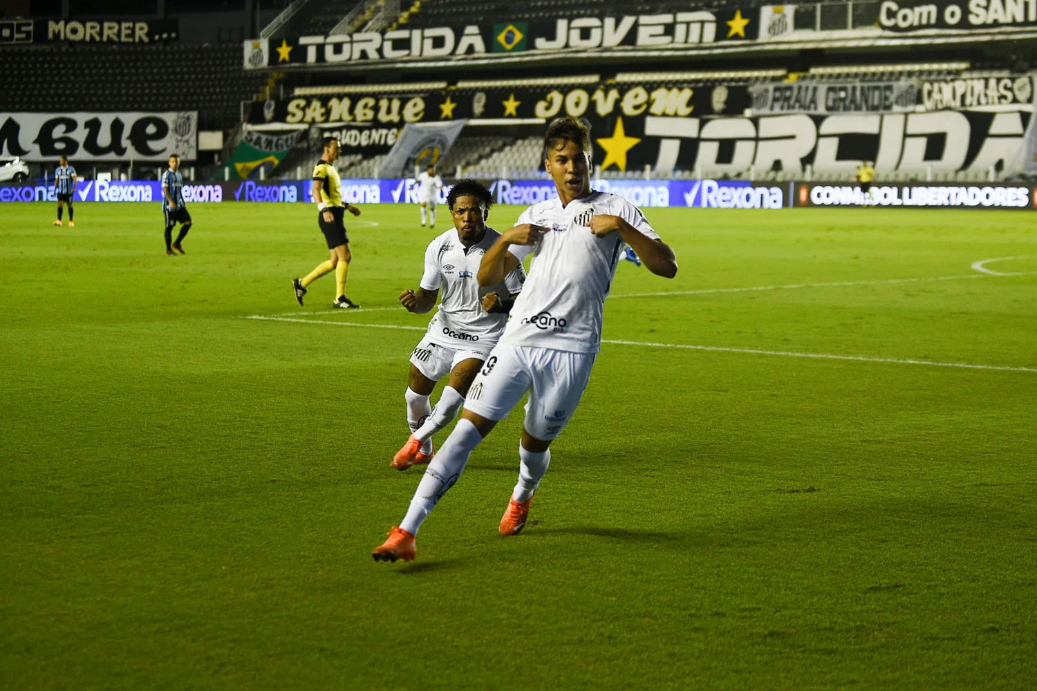 Apesar da derrota, Santos fez boa campanha na Libertadores